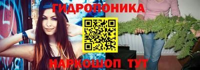 стаф Свободный