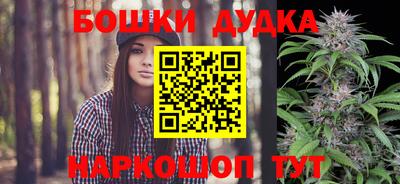 дурь Славгород