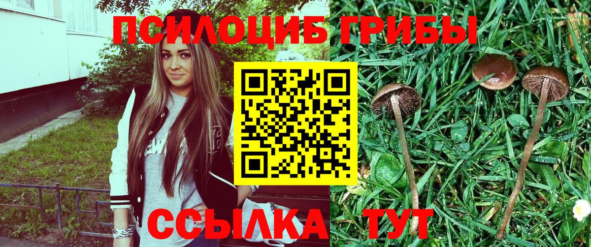 Псилоцибиновые грибы GOLDEN TEACHER Соликамск