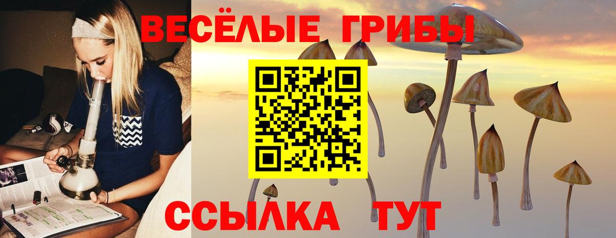 где можно купить наркотик  Вход с VPN  Соликамск  Галлюциногенные грибы ЛСД 